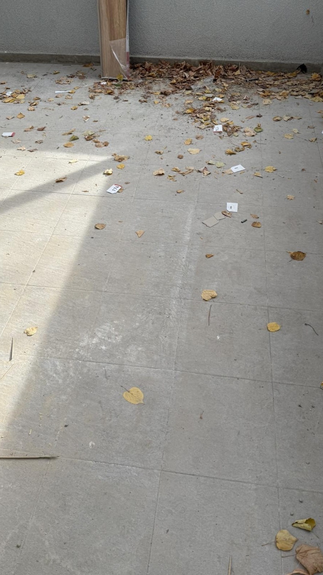 Before photo for Deep Cleaning