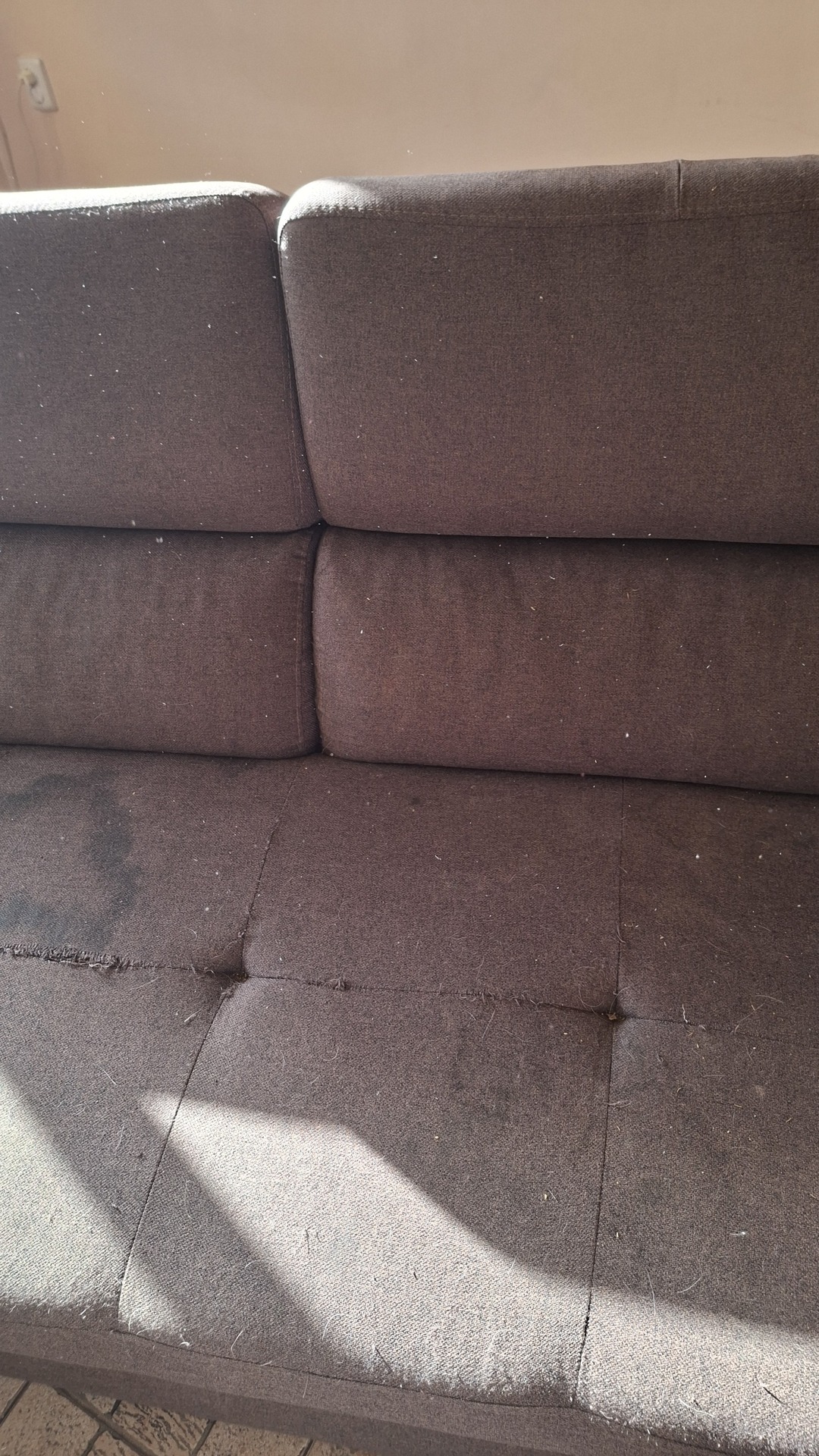Before photo for Upholstery Cleaning