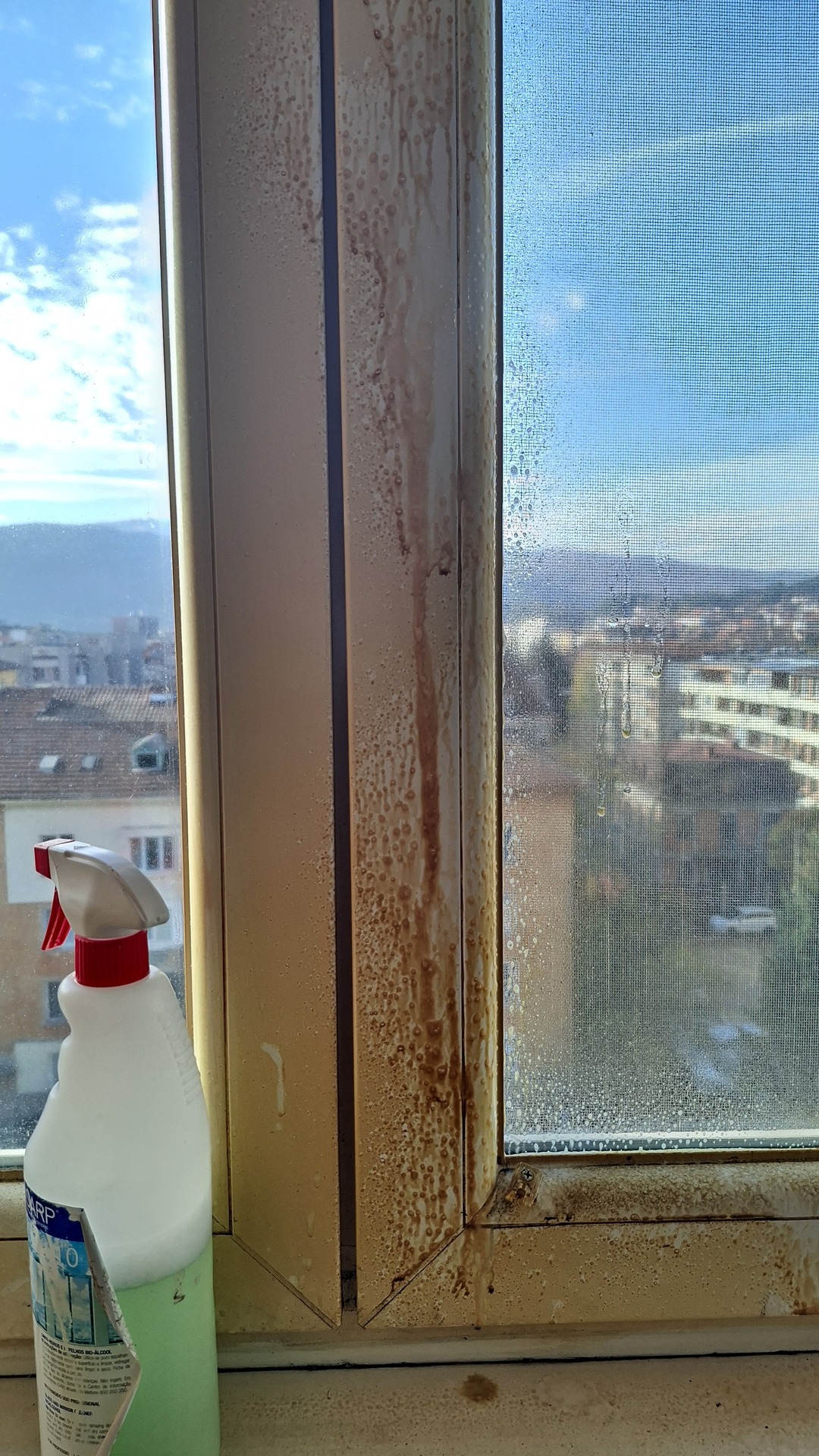 Before photo for Window Cleaning