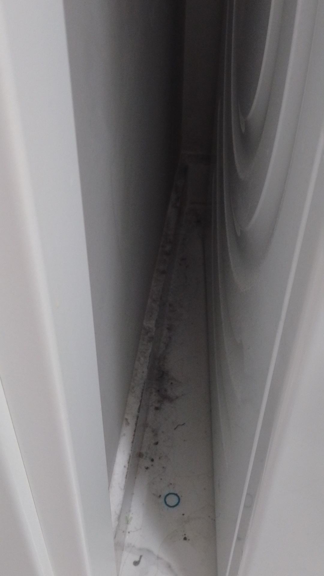 Before photo for Основно почистване