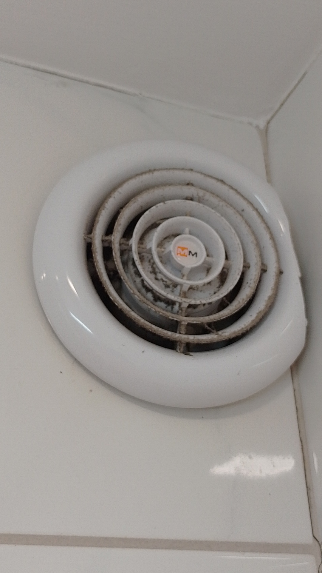 Before photo for Основно почистване