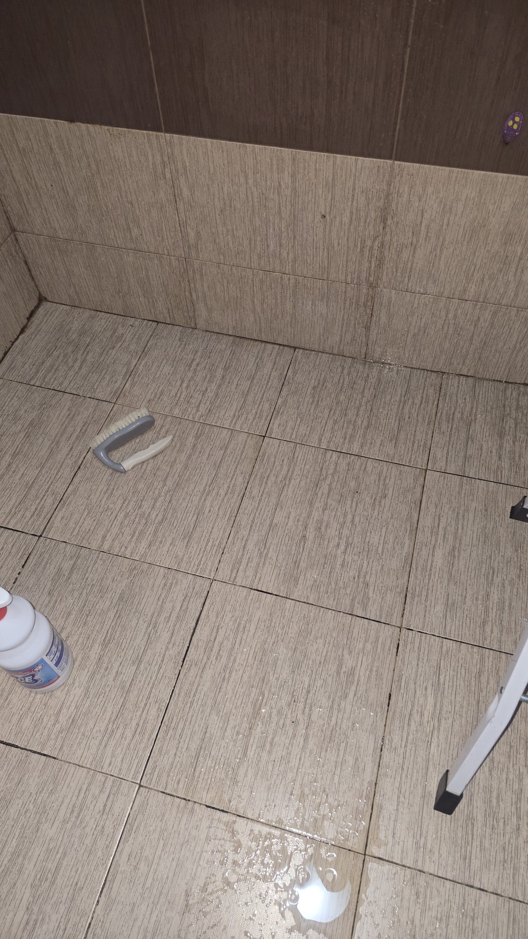 Before photo for Основно почистване