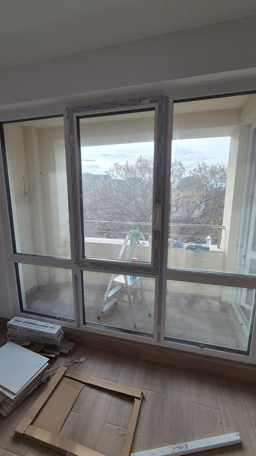 Before photo for Window Cleaning